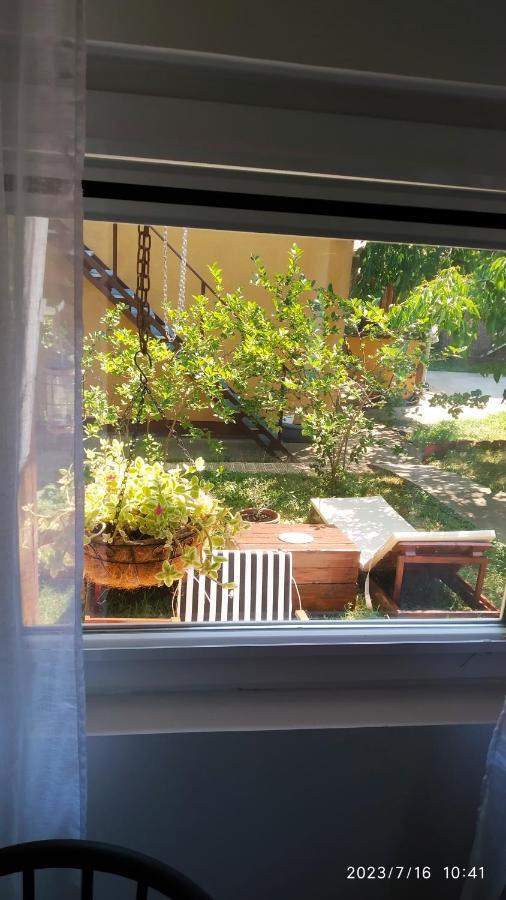 Apartman Stara Tresnja Kladovo Dış mekan fotoğraf